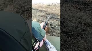 Stevens Savage Plinking #shortsvideo #shortsfeed #short #shorts