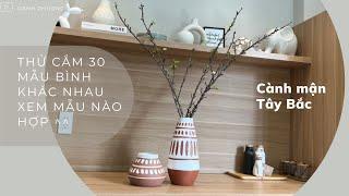 Lần đầu chơi hoa mận Tây Bắc. Thử cắm 30 mẫu bình khác nhau xem cái nào hợp.