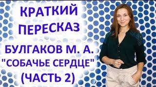 Пересказ Булгаков М. А. «Собачье сердце» Часть 2