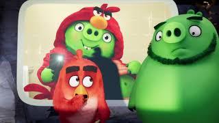 THE ANGRY BIRDS MOVIE 2 x UNITED NATIONS