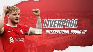 LFC International Update  Wednesday Night Kop