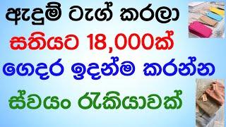 jobs in sri lanka  new job vacancy  job vacancy 2023  sri lanka