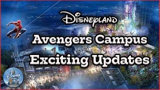 Disneyland  Avengers Campus  Exciting Announcements 2021