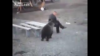 Russian guy doesn’t give a damn about bear roaming nearby