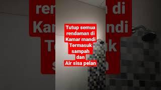 Tips Kamar Mandi Bersih dan Wangi