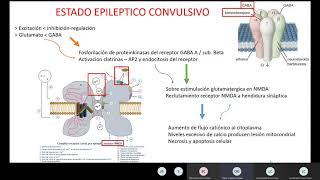 Status convulsivo Parte 2. Dr Delfín.