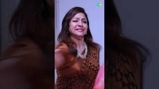 Ilakkiya Serial  EP 488 Promo  Shambhavy Nandhan Sushma  #shorts #ytshorts #youtubeshorts