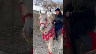 Cute girls horse ride#horse #ghoda #horselover #horses #horsepower #ghodiyan #viral #shorts #actress