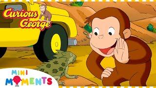 George Explores the Desert   Curious George  Compilation  Mini Moments