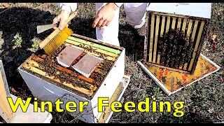 Feeding Bees for Early Spring Buildup