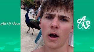 Alex Ernst Vine Compilation With Titles  Alex Ernst All Vines 2014 - 2016