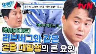 우리나라를 뒤덮고 있는 러브버그 도대체 곤충 대발생은 왜 일어날까? #highlight#유퀴즈온더블럭  YOU QUIZ ON THE BLOCK EP.251