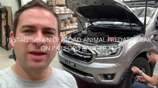 Install video Predator Bull bar on PX3 Ford Ranger by Offroad Animal