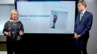 Bister vinter stundar