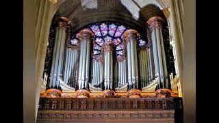 La Marseillaise French National Anthem Organist- Vladimir Tarasov.