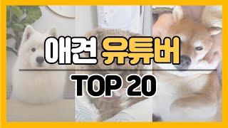 강아지 유튜버 구독자 순위 TOP 20