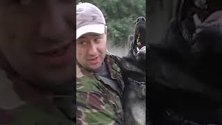 Дрессировка собак. Команда Ко мне. Dog training. Come.