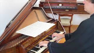 Michael Tsalka plays the 18th Goldberg Variation on an original Spinet from Radbon Collection