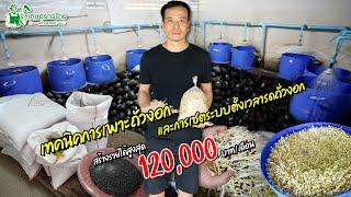 เทคนิคเพาะถั่วงอกดูระบบตั้งเวลารดถั่วงอก สร้างรายได้สูงสุด 120000 บาทเดือน l ชมสวนเกษตรกรไทย Ep277