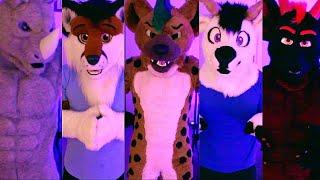 Suiting Up in All 5 of My Fursuits