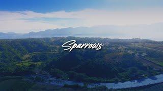 Cory Asbury - Sparrows Lyric Video