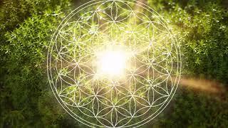 528 Hz Heart Chakra Regeneration  Repair & Heal The Heart Chakra  Open & Balance ANAHATA Chakra