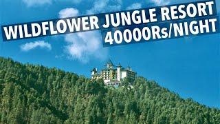 Inside Shimla’s Most Iconic Jungle Resort - WildFlower