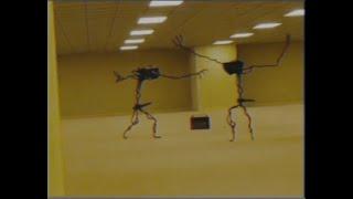 Entities dancing in Backrooms? Found Footage