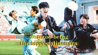 6 mins of wonwoo being whipped for dino ft. dinos reaction  svt moments