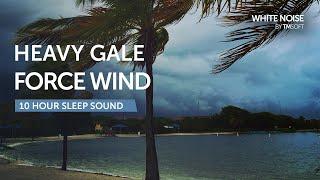 Heavy Gale Force Winds Sleep Sound - 10 Hours - Black Screen