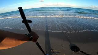 Beach metal detecting.  A ring and a little gold