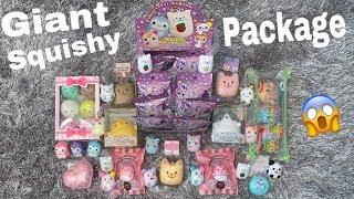 Giant Squishy Packages Haul Jenna Lyn Squishies+More