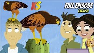 wild kratts - wolf hawk - Full episode - HD - kratts series - english