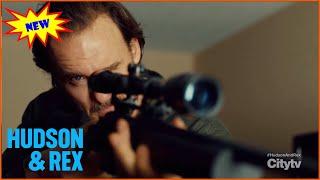 Hudson & Rex 2024  Seeing is Deceiv  Hudson & Rex New Episodes 2024 Full HD