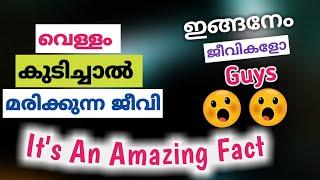 വെള്ളം കുടിച്ചാൽ മരിക്കുന്ന ജീവി CHACKO VAKKO