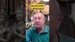 Ты вольный или свободный? #сундаков #ведическаярусь #ведическиезнания #историяруси