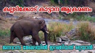 വീട്ടുമുറ്റത്ത് ഒറ്റയാൻ  elephant attack in Kalladikode  elephant attack palakkad #elephantattack