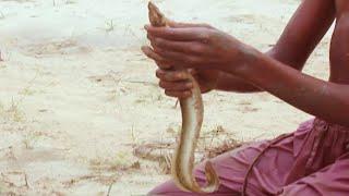 Catch of the day  Poor village people catch fish in the water of river