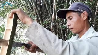 HIDUP DI HUTAN MENCARI BAMBU UNTUK KURUNG AYAM LI JHON