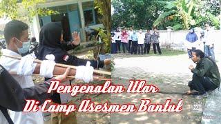 Pengenalan Ular Di Camp Asesmen Kemensos