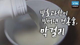 한국사 探 발효과학이 빚어낸 전통술 ‘막걸리’  YTN 사이언스