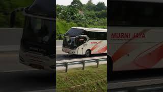 Bus MURNI JAYA #bus #automobile #busmania #buspariwisata #busjourney #bislover
