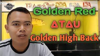 Cara membedakan ikan arwana golden red rtg golden red HB golden Crossback dan Golden 24K.