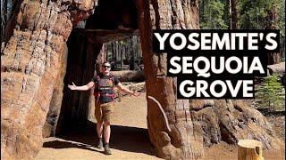 What to See at Mariposa Grove in Yosemite National Park