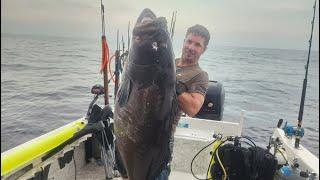 Bucket list 105 pound black grouper on a commercial spearfishing trip