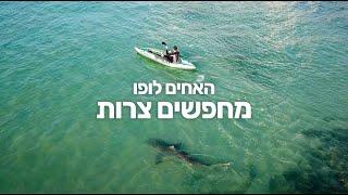 שוחים עם כרישים - תחנת הכח אורות רבין חדרה