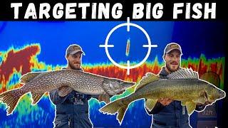 Targeting BIG Fish W Livescope How to FindCatch BIG Walleyes & Pike on Jigging Raps & Swimbaits