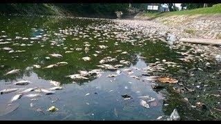 Thực trạng ô nhiễm nguồn nước ở Việt Nam
