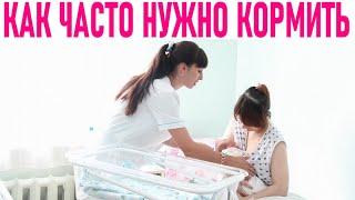 ГРУДНОЕ ВСКАРМЛИВАНИЕ  Как часто кормить новорожденного ребенка грудным молоком