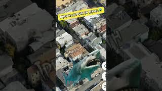 Megalodon  On Google Earth #shorts #viralvideo #viral #googleearth #megalodon #yt #new